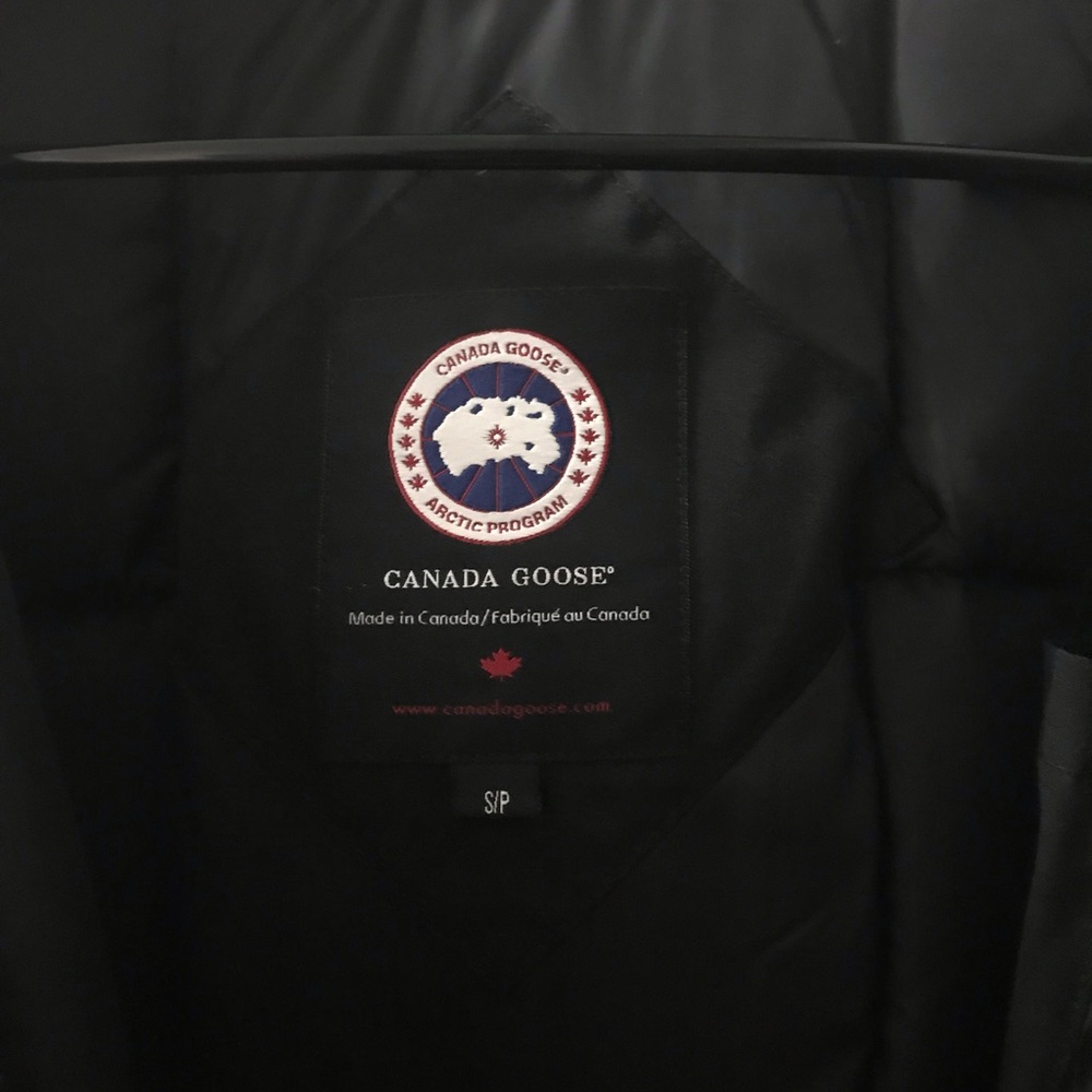 Canada goose
